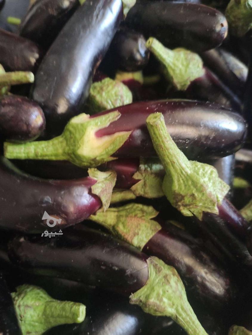 ترشیجات و سرکه سیب خونگیـ