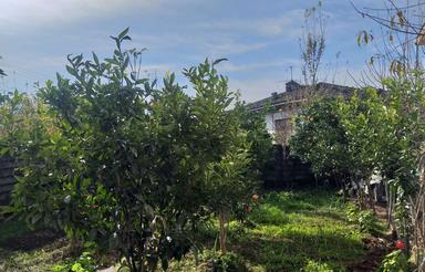 ویلا،فروش در شهر کلاچای