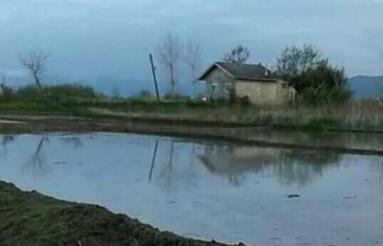 فروش ویلا 849 متری در کویه علیا