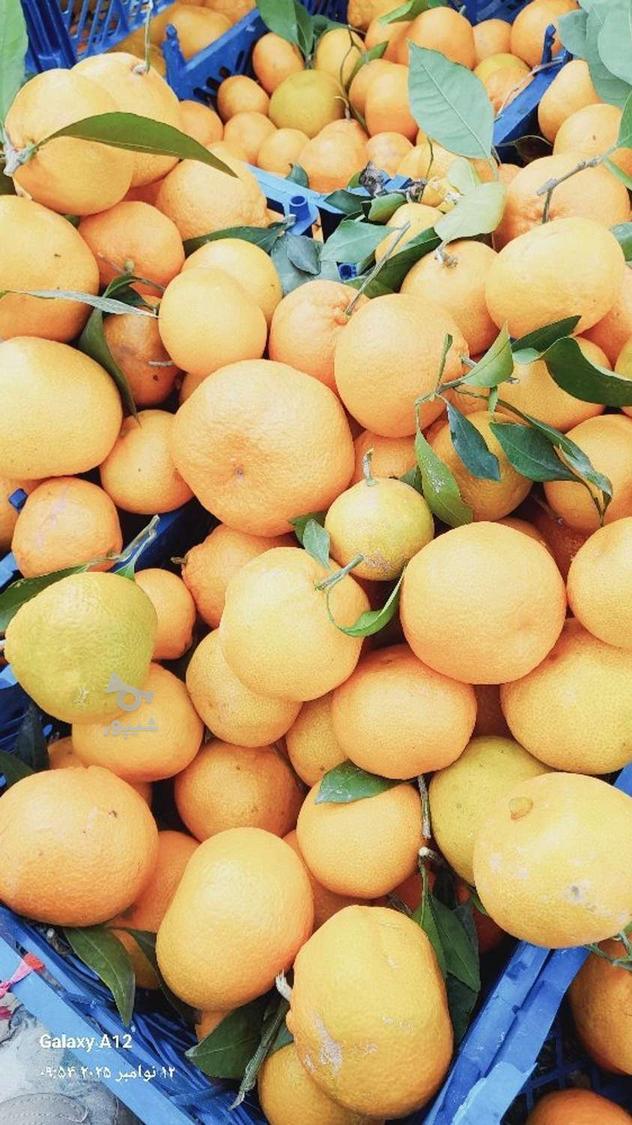 کارگر ساده سن فرقی نمیکنه - ابوالفظل