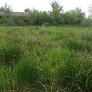 فروش زمین اداری و تجاری 1300 متر در سنگر کد 3667