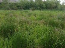 فروش زمین اداری و تجاری 1300 متر در سنگر کد 3667 در شیپور