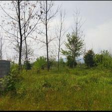 فروش زمین مسکونی 232 متر در دریاسر