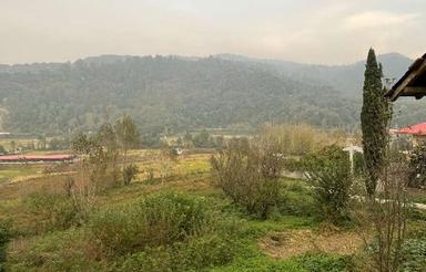 فروش زمین بافت ویو دار جنگلی در لفور