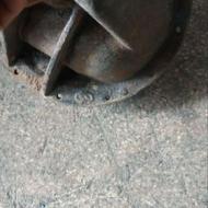 کله گاوی نیسان