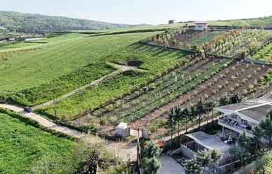 فروش زمین کشاورزی 313 متر در خارکش