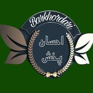 ویزیتور فروش مویرگی