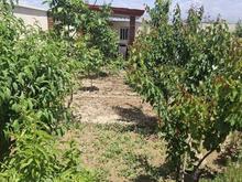 فروش زمین مسکونی 700 متر در چهارباغ در شیپور