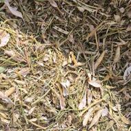 فروش انواع علوفه