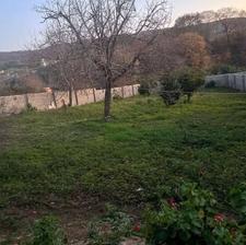 فروش زمین مسکونی 574 متر در پایین کولا