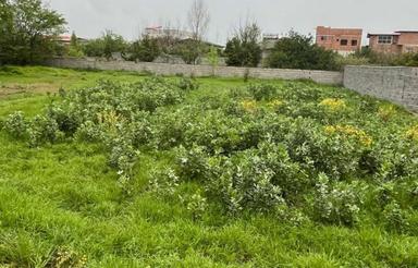 زمین جاده نظامی خرماکلا