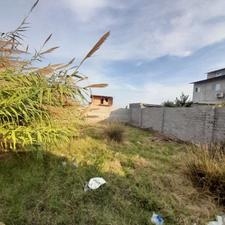 فروش 320 متر زمین در روستای سوته