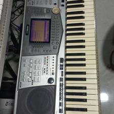 ارگa1000ارینتال