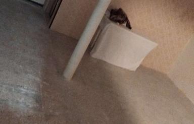 طبقه همکف درب مجزا برای انبار