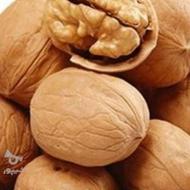 گردو بلغاری پوست کاغذی