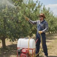 سمپاشی پاییزه و زمستانه در اسرع وقت