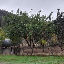 400 متر زمین باغی در باقرآباد رامیان