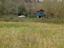 فروش زمین 4318 متر زمین کشاورزی اطاقور در شیپور