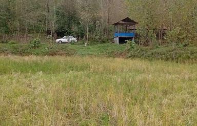 فروش زمین 4318 متر زمین کشاورزی اطاقور