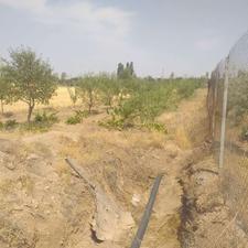 باغ با 70عدد درخت در روستای سارمساقلو