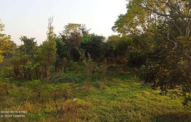 فروش زمین خوش نقشه 450متری