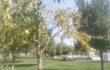 زمین فروشی قطعه کوچک