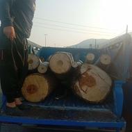 خرید وفروش چوب باغی