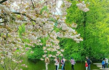 زمین 100متری سنقر آباد