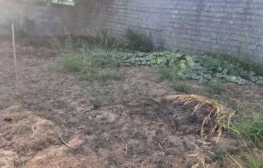 فروش فوری زمین مسکونی