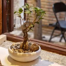 به یک نیروی خانم نیازمندم