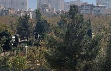 تاپ لوکیشن کوی ولیعصر (سیمین، جانبازان) 132 متر