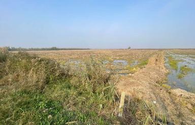 فروش زمین کشاورزی 21000