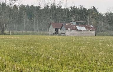 فروش زمین کشاورزی 13000 متر در منطقه آزاد