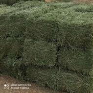 یونجه درجه یک انباری خشک بدونه علف قیمت 32000تومان