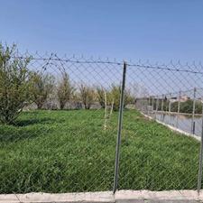 فروش زمین کشاورزی 400 متر در قادیکلا