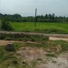 فروش ویلا 262 متر در سیاهکل کد 3712