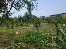 500زمین باغی که تو بافت مسکونی اب برق گاز تلفن نزدیکش هست در شیپور