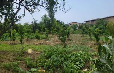 500زمین باغی که تو بافت مسکونی اب برق گاز تلفن نزدیکش هست