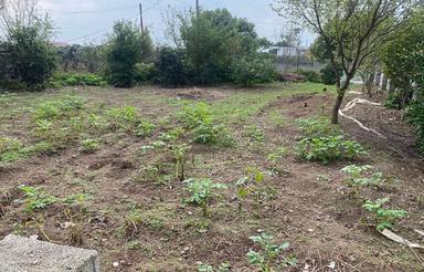 زمین مسکونی