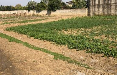 فروش زمین درجاده جویبار300متر