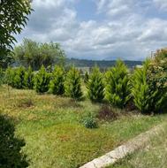 فوری/شهرکی/تنکابن/ویو کوه و جنگل/شرایطی