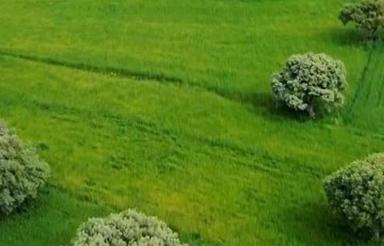 زمین مناسب خانه وگل خانه و سالن قارچ