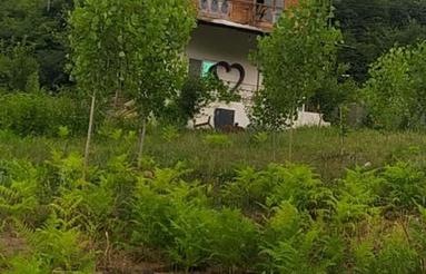 خونه باغ دنج و جنگلی