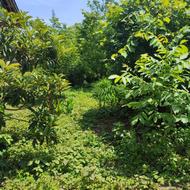 150 متر ویلا باغ با سند تک برگ