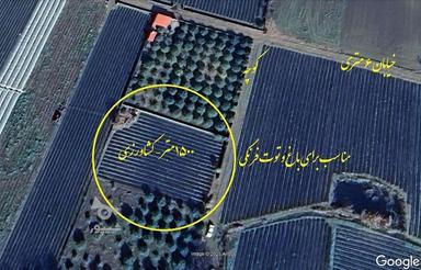 1500 متر کشاورزی در بابلسر -بهنمیر