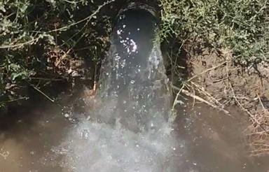 باغ درشبستر کافی الملک