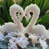 قو تزئین با نبات