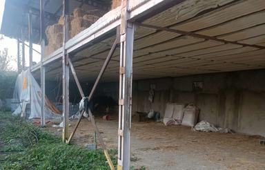 فروش مجموعه دامداری و زمین کشاورزی