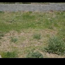 زمین مسکونی