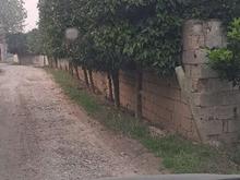 فروش زمین کشاورزی 150 متر در قائمیه در شیپور